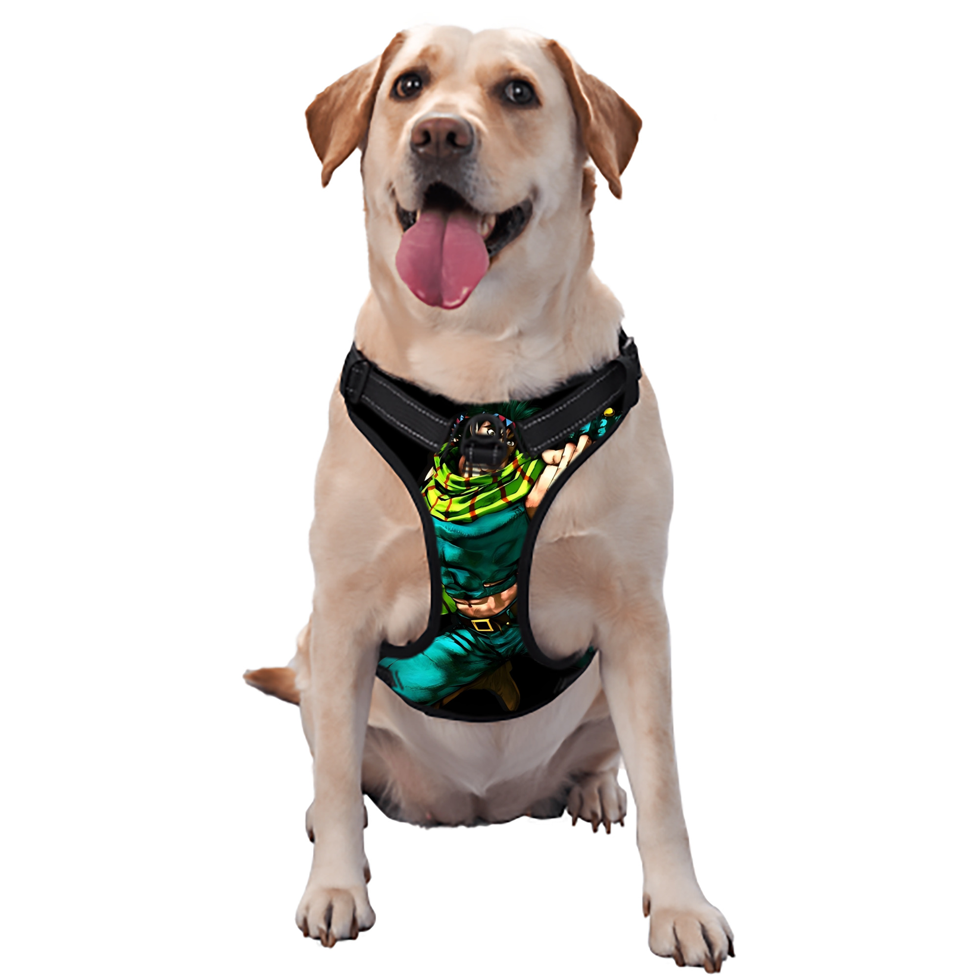 （画像用） ジョジョの奇妙な冒険 ジョセフ?ジョースター JoJo's Bizarre Adventure Joseph Joestar ペット用ハーネス